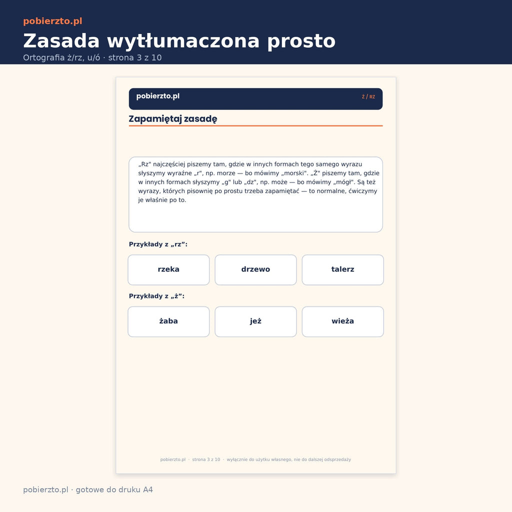 Zasada ortograficzna wytłumaczona prostym językiem